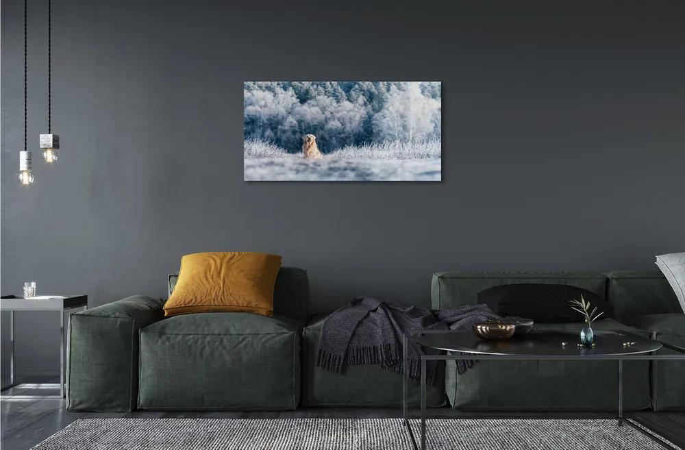 Quadro vetro Cane montagna inverno 100x50 cm