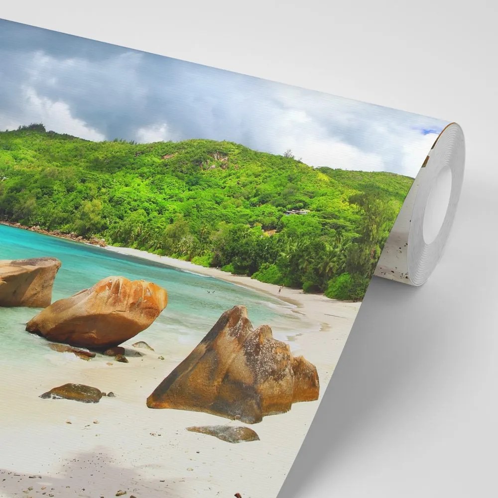 Carta da parati autoadesiva – Seychelles tropicali