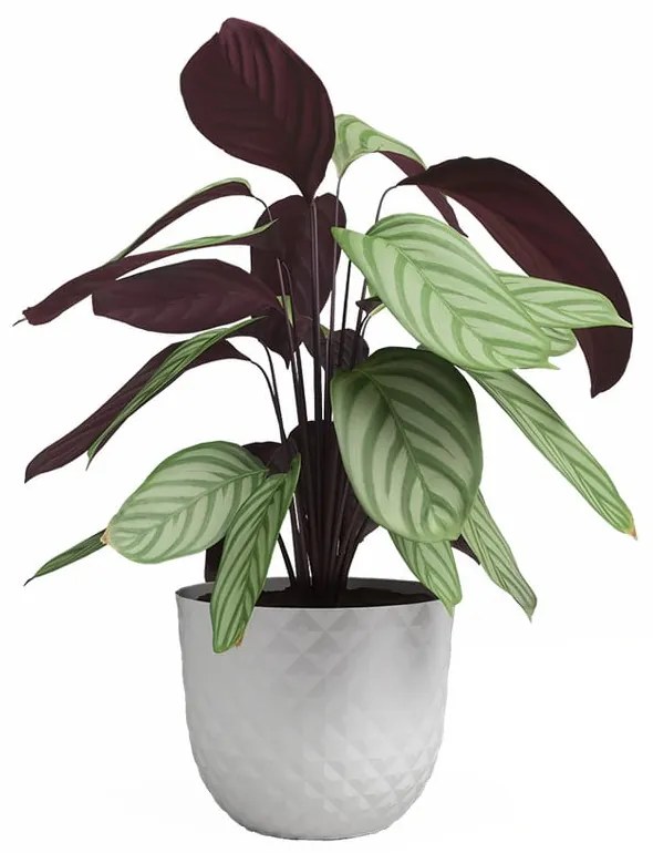 Vaso in plastica riciclata ø 20 cm Havana - Artevasi