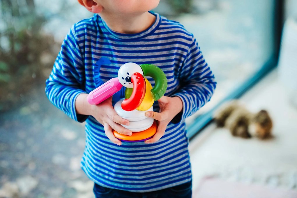 SmartMax - I miei primi anelli magnetici impilabili