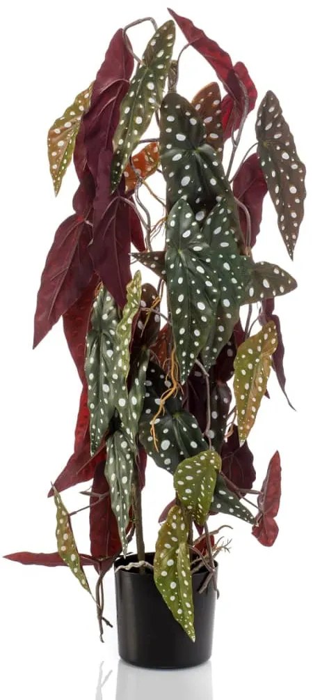 Begonia Maculata Artificiale 75 Cm İn Vaso /