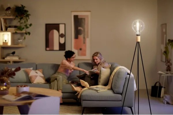 Lampadina LED dimmerabile Philips E27/6,5W/230V 3000K