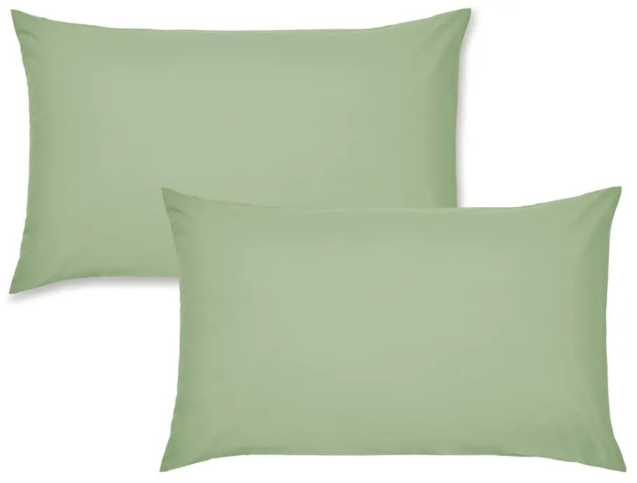 Federe per cuscino in set in percalle 2 pz 75x50 cm Easy Iron Percale – Catherine Lansfield
