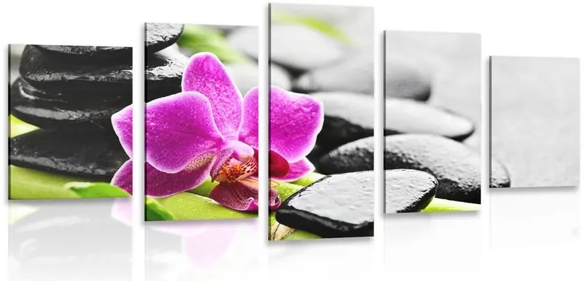 Quadri 5 pezzi – Natura morta wellness con orchidea viola