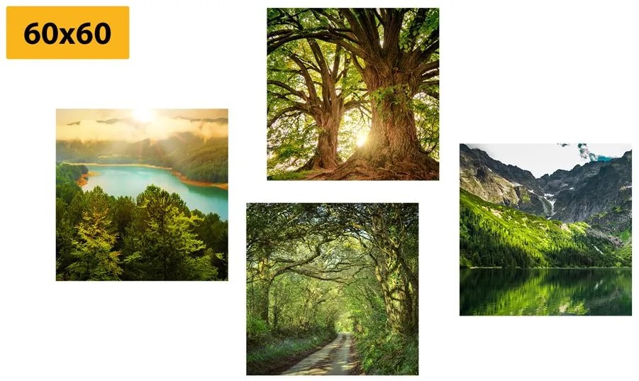 Set di quadri – Splendida natura verde
