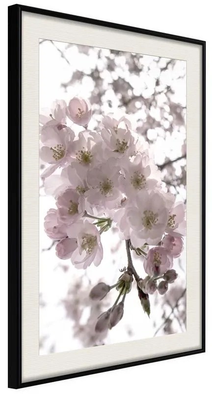 Poster  Spring Visit  Cornice Quadri Cornice nera con pass-partout, Larghezza x Altezza Home decor 20x30