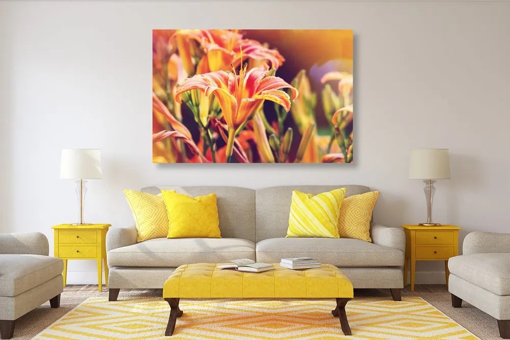 Quadro su tela – Splendidi fiori in giardino