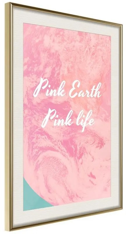 Poster  Pink Life  Cornice Quadri Cornice d'oro con passe-partout, Larghezza x Altezza Home decor 30x45