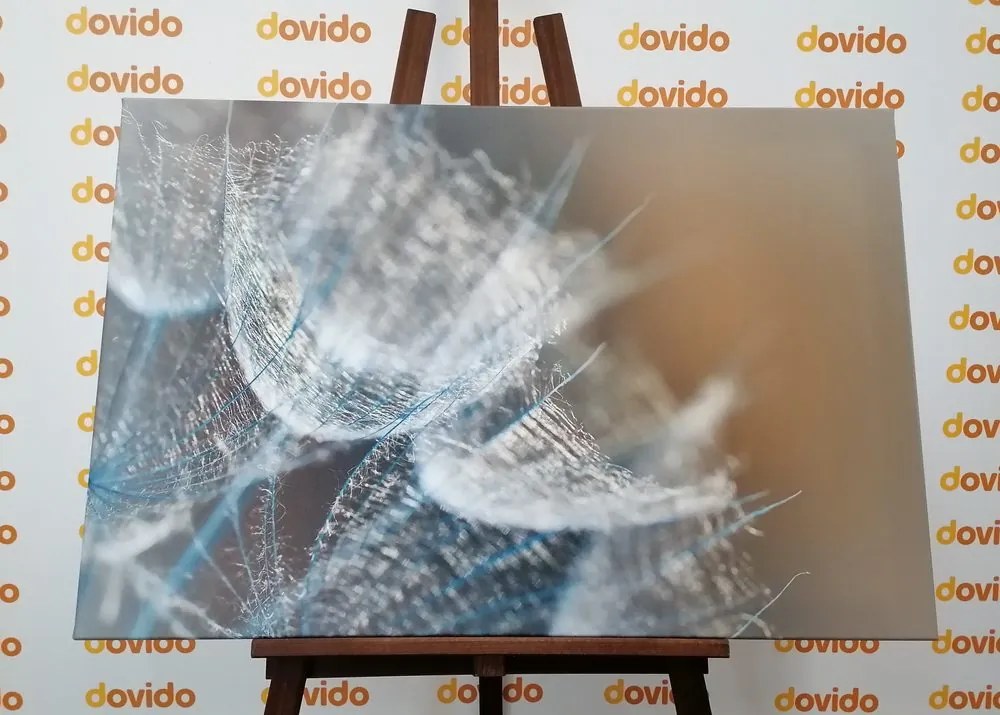 Quadro su tela – Macro soffione su sfondo