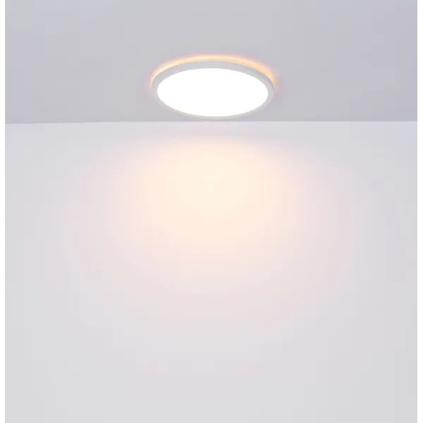 Globo 41562-24W - Plafoniera LED da bagno SAPANA LED/24W/230V IP44