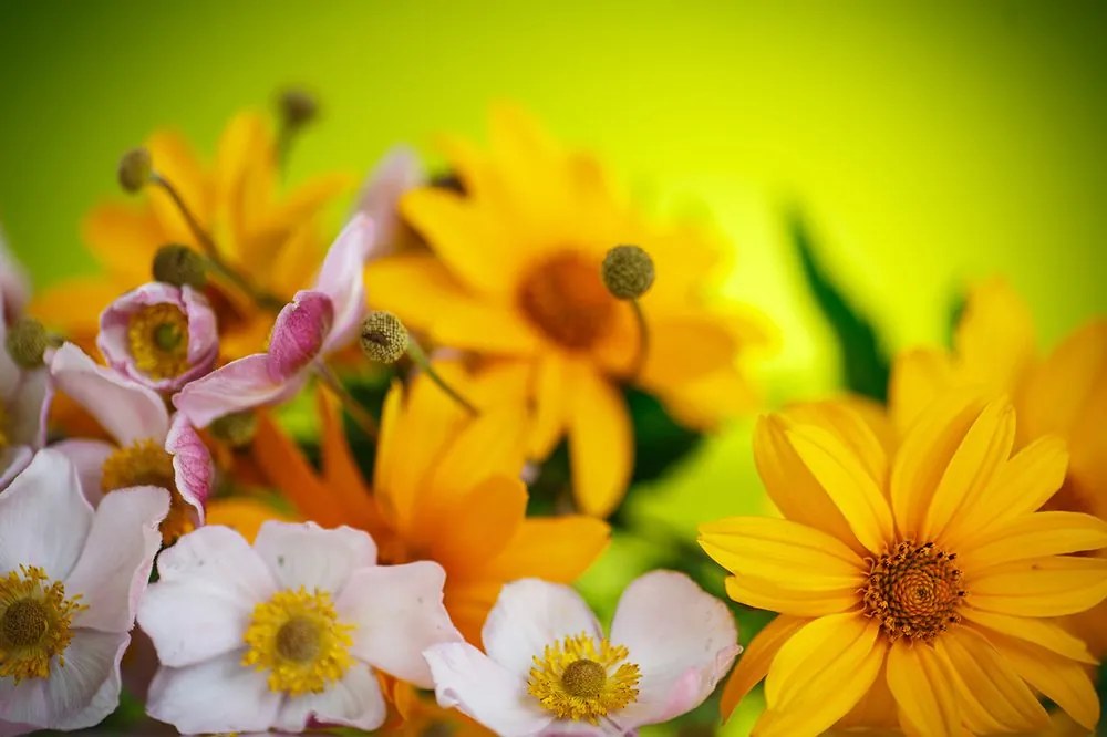 Carta da parati autoadesiva – Bouquet estivo