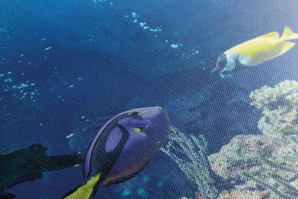 Quadro su tela – Pesci tropicali