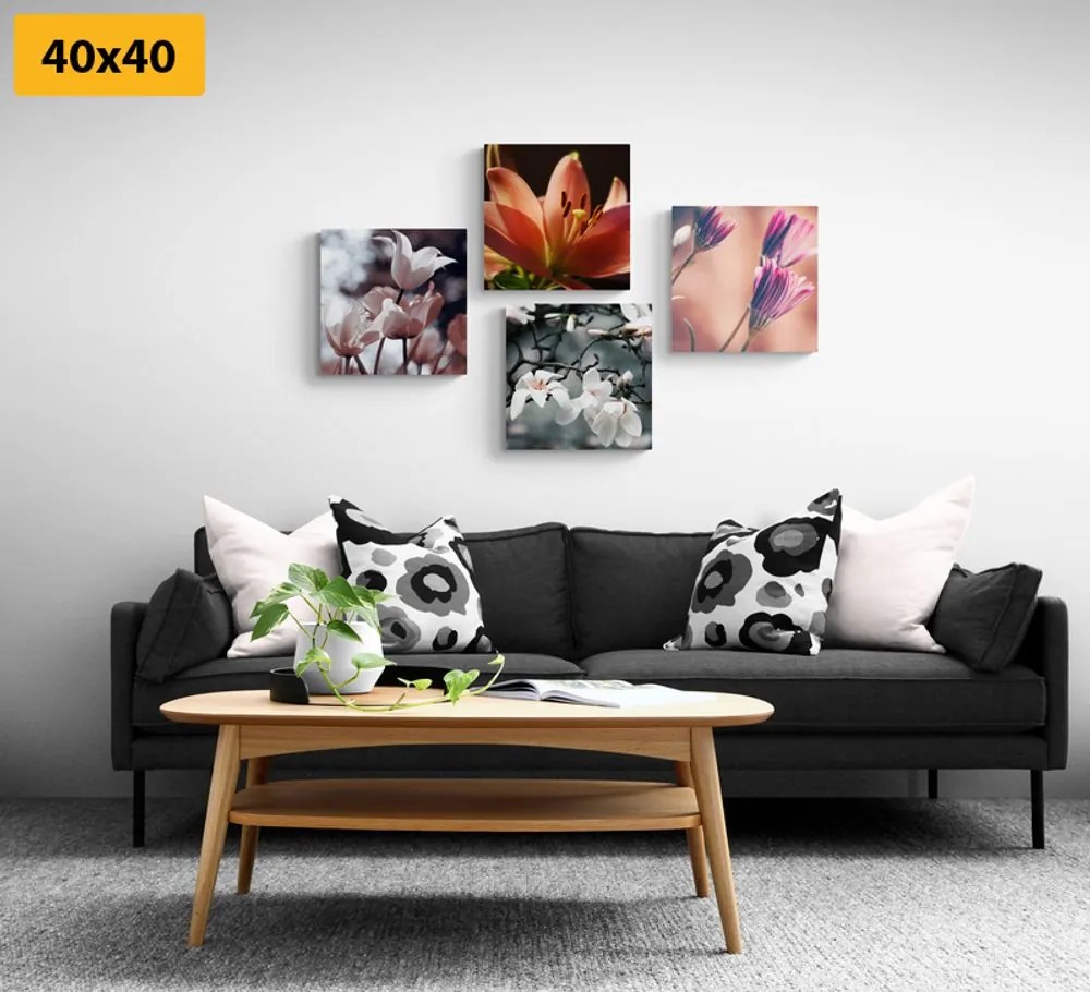 Set di quadri – Delicatezza dei fiori