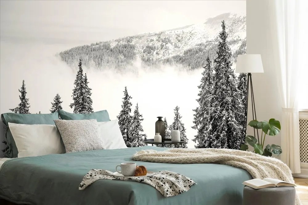 Carta da parati – Alberi di pino innevati bianco e nero