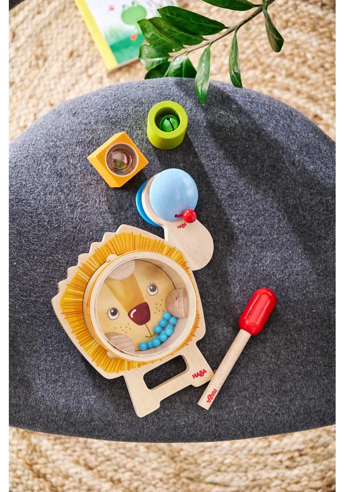 Set di strumenti musicali - Leone