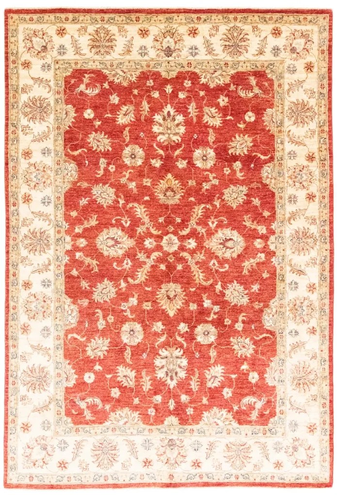 Ziegler Tappeto orientale 250x170 (Afghanistan)