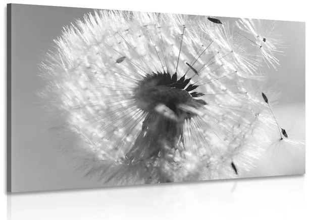 Quadro su tela – Dettaglio del soffione in bianco e nero