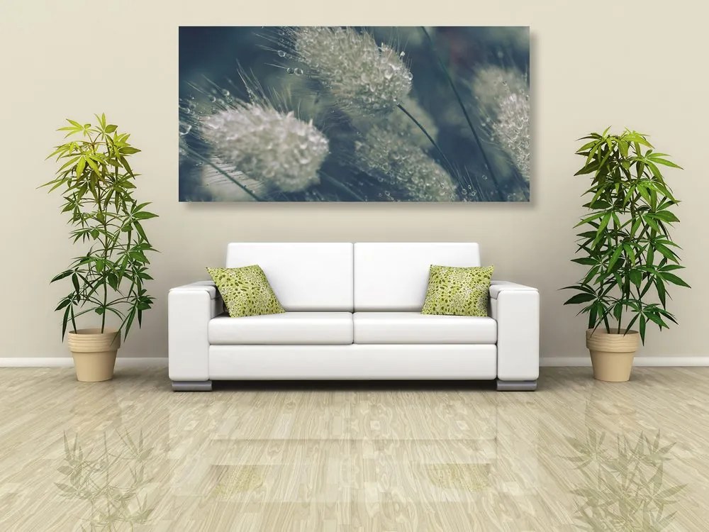 Quadro su tela – Gocce di rugiada sull'erba