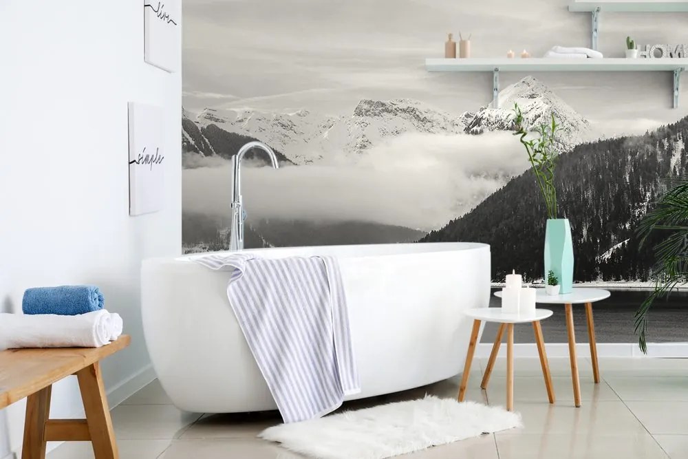 Carta da parati – Paesaggio invernale in bianco e nero