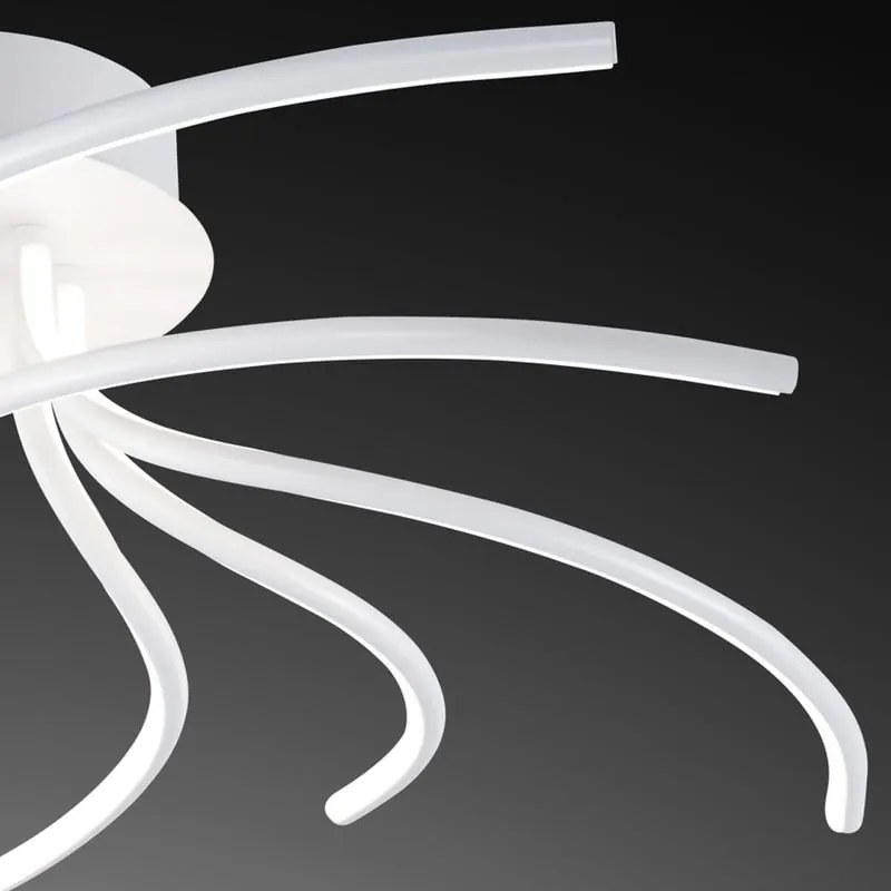 Plafoniera LED Nebulosa Ø 75 cm bianco IP20 cct da bianco caldo a bianco freddo con regolazione di temperatura, 2350 lumen NOVECENTO