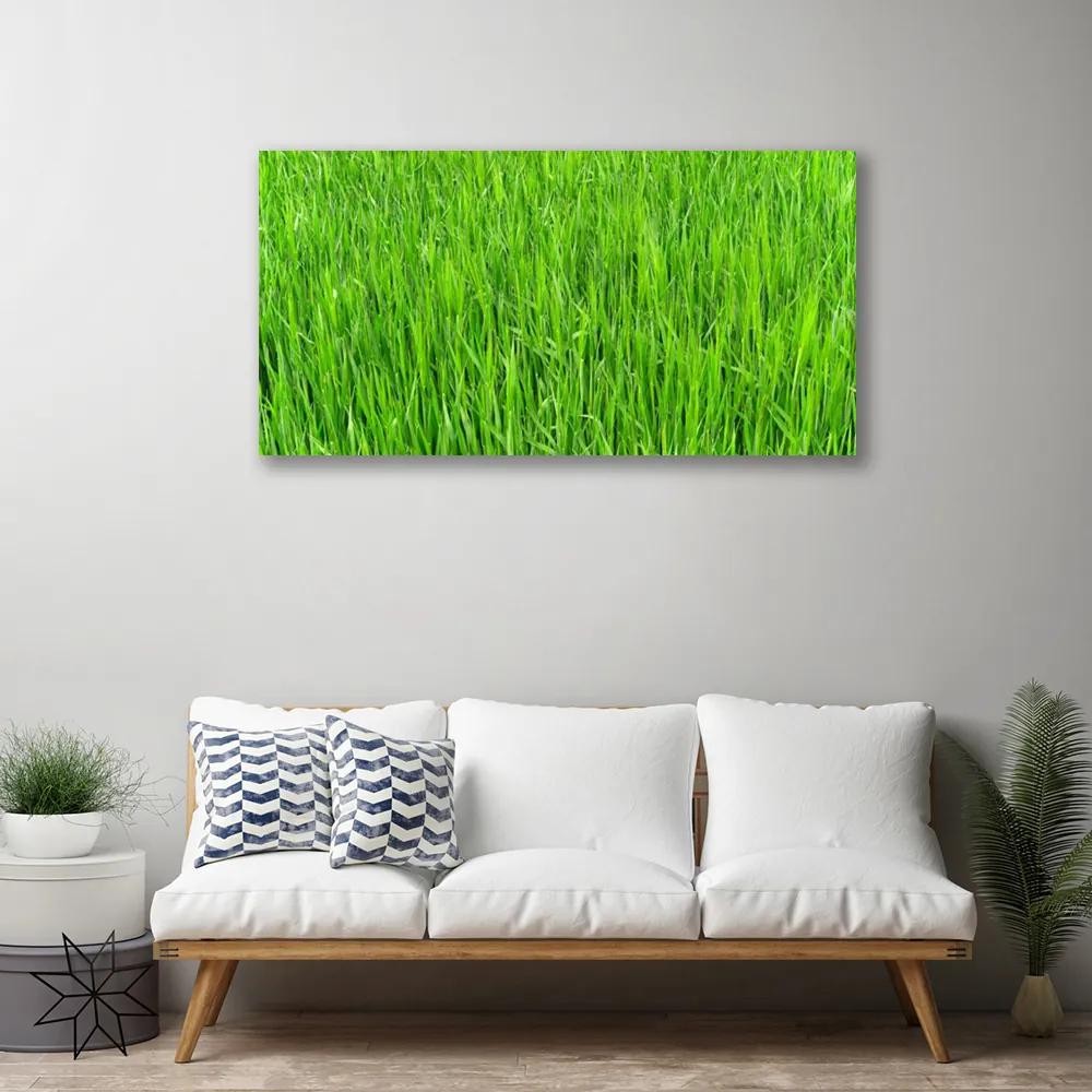 Quadro su tela Tappeto erboso dell'erba verde della natura 100x50 cm