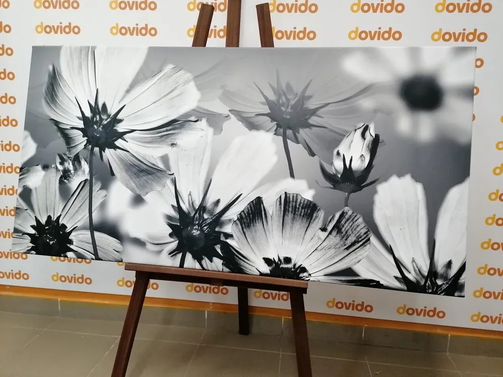 Quadro su tela – Fiori da giardino in bianco e nero
