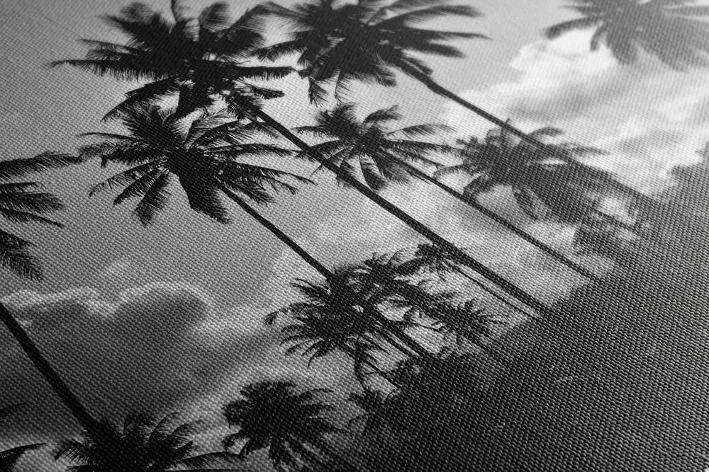 Stampa su tela – Palme di cocco sulla spiaggia in bianco e nero