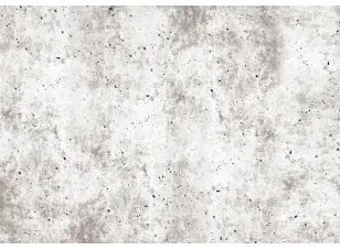 Fotomurale Urban Style: Concrete Lavabile 250x175