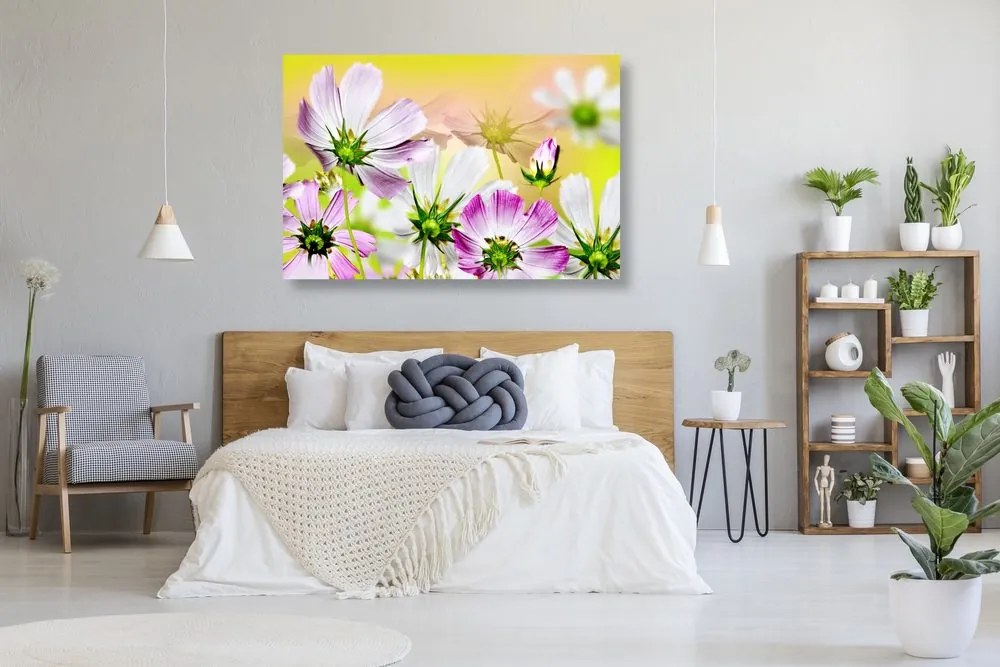 Quadro su tela – Fiori estivi
