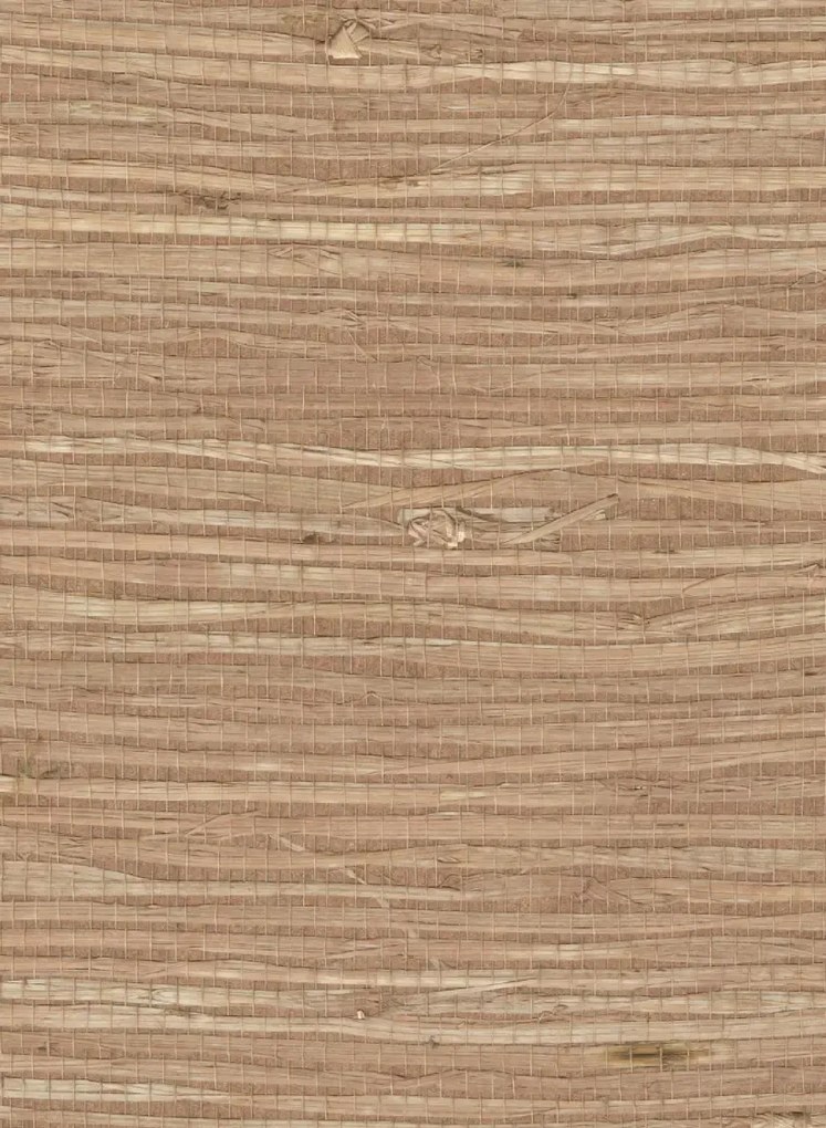 Élitis Carta da parati Grasscloth - RM 1083 07