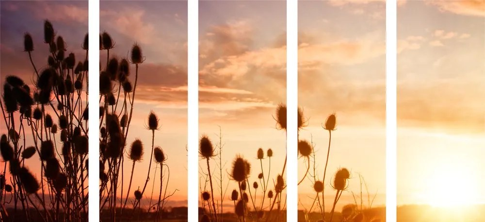 Quadri 5 pezzi – Steli d'erba all'alba