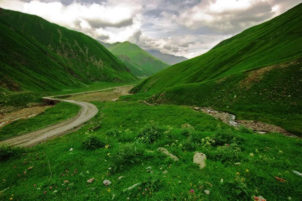Carta da parati autoadesiva – Paesaggio verde