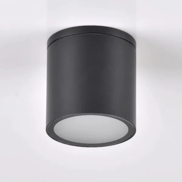 Luce Spot da esterno OHIO 1xGU10/10W/230V IP54 nero