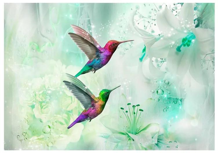 Fotomurale Colourful Hummingbirds (Green)