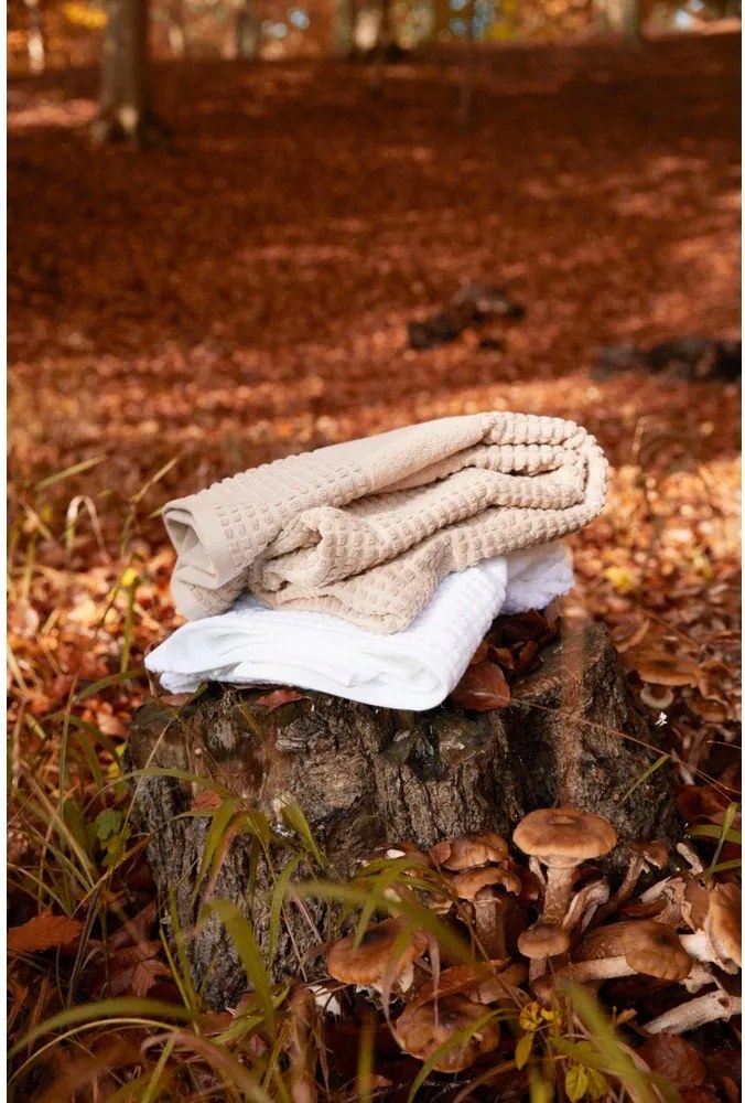 Asciugamano tipo terry bianco in cotone organico 50x100 cm Check – JUNA