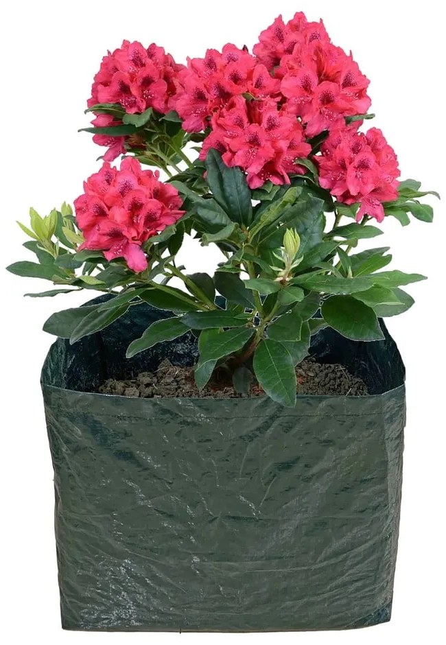 Cassetta rialzata per coltivazione - Garden Pleasure