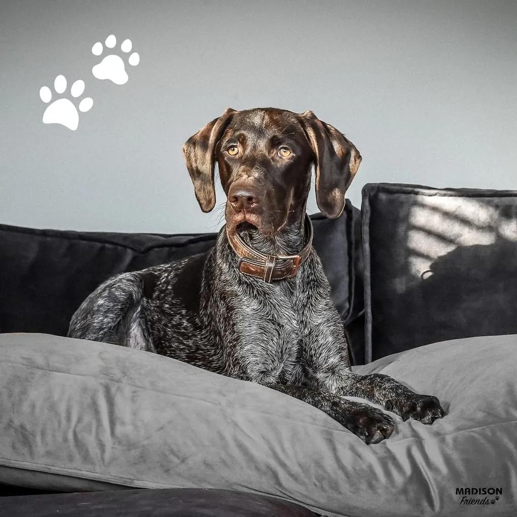 Madison cuscino per cani velvet 100x70x15 cm grigio