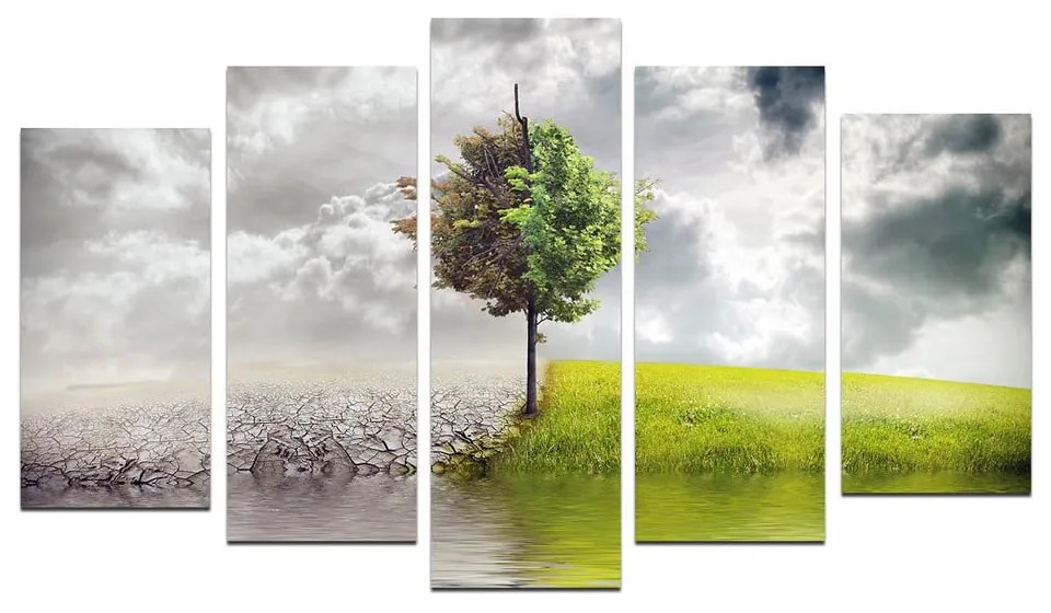 Quadro 5 pezzi Annetta - Wallity