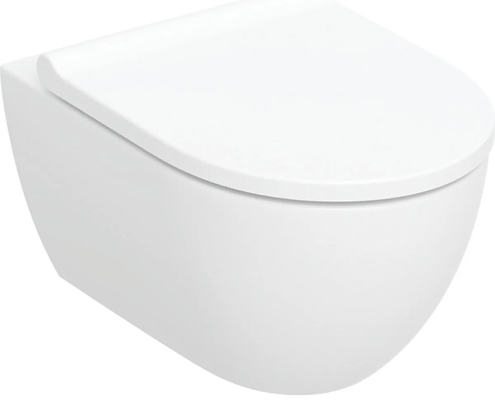 Geberit Acanto vaso wc con copriwater a discesa lenta sospeso senza brida con scarico a vortice bianco 502.774.00.8