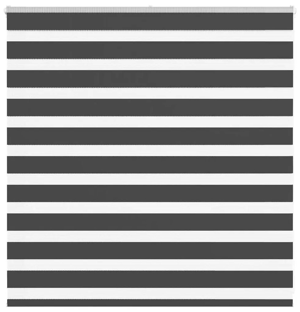 Tenda A Rullo Zebra Nero Larghezza Tessuto 140,9 Cm Poliestere /