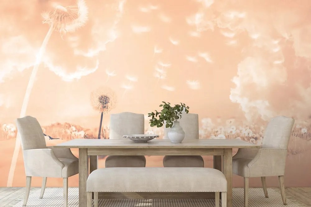 Carta da parati – Soffioni magici sul prato Peach Fuzz