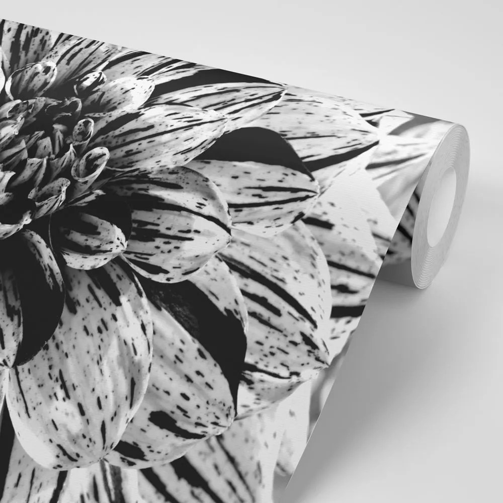 Carta da parati – Dalia esotica in bianco e nero