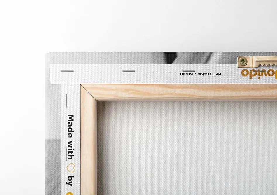 Quadro su tela – Giradischi antico in bianco e nero