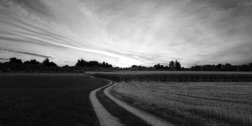 Stampa su tela – Tramonto sul paesaggio in bianco e nero