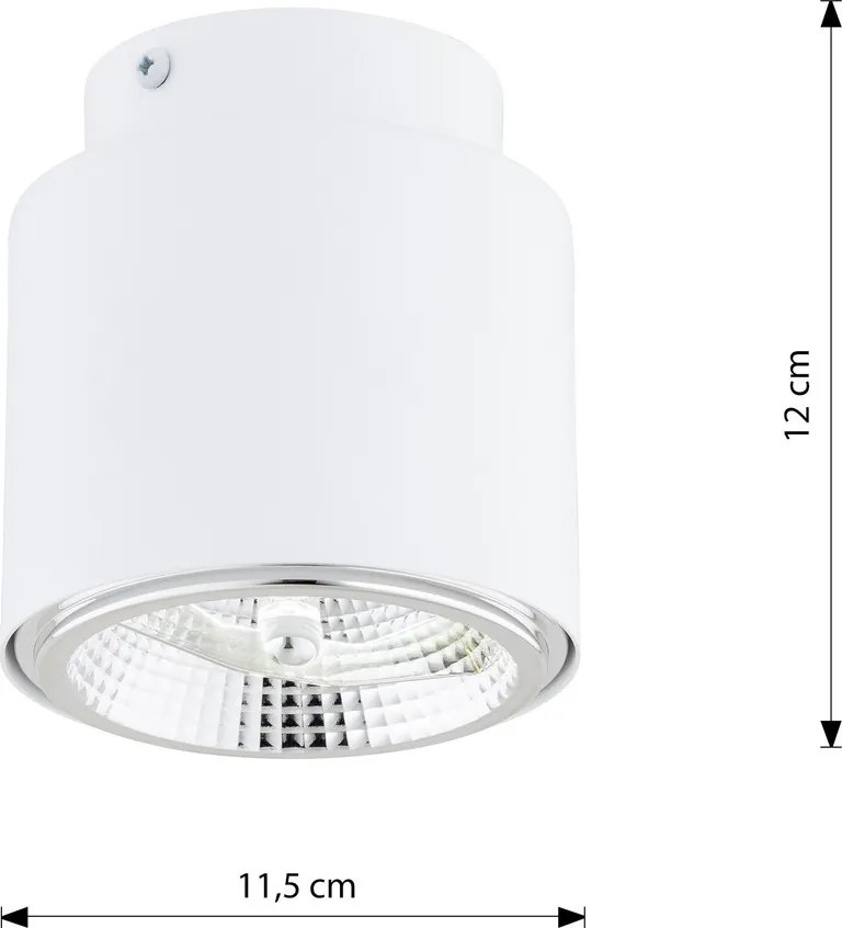 Lampada da Soffitto in Acciaio AR111 NANO 1 Bianco