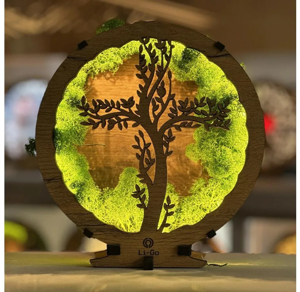 Li-Go 23622/DUB2 - LED Lampada decorativa da tavolo dimmerabile a LED/12W/230V 20x22 cm rovere