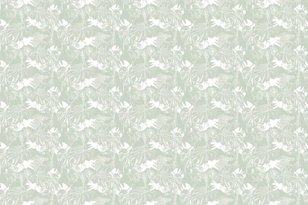 Carta da parati – Monstera insolita