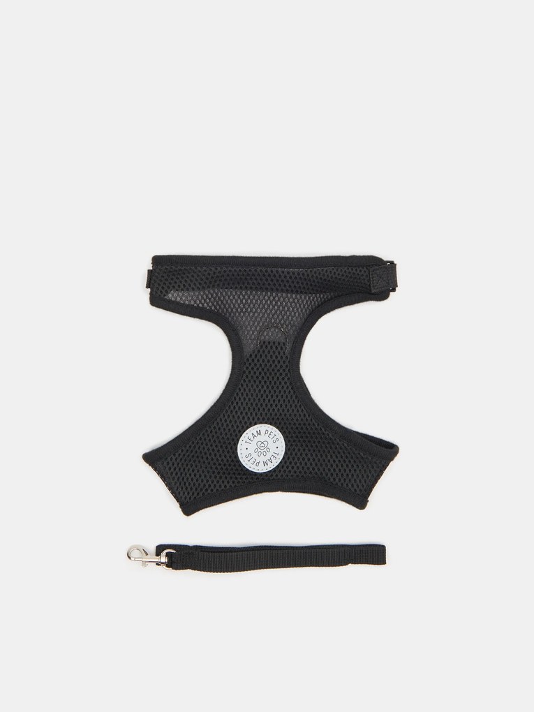 Sinsay - Pettorina e guinzaglio per cani - nero