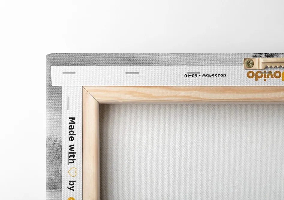 Quadro su tela – Ciliegio orientale in bianco e nero