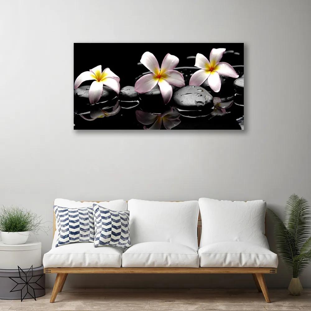 Foto quadro su tela Pianta di pietre di fiori 100x50 cm